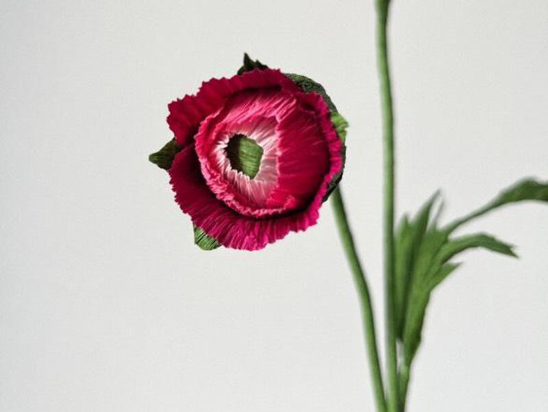 Red and pink ranunculus flower bud made with paper