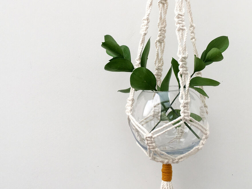 Class bowl with green leaves in it, hanging in a macrame plant hanger