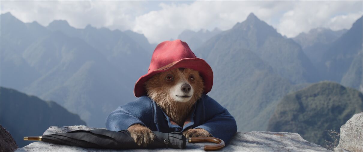 Paddington, a little brown bear wearing a red hat, leans on a rock in a Peruvian mountain range.