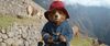 Paddington, a small brown bear wearing a blue duffle coat and a red hat, stands in a field with goats behind him.