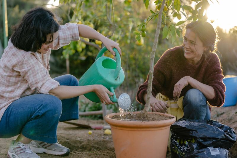 Two people water plants together outside.